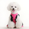 Chemise en dentelle Pet Lady