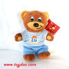 Ours en peluche PV en peluche