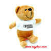 Ours brun en peluche