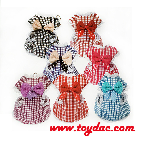 Chemise en dentelle Pet Lady