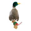 Jouet de dressage pour animaux de compagnie en peluche