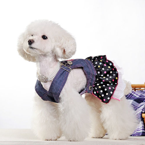 Sac multifonction pour chat et chien