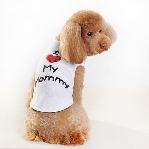 Mini sac de transport pour chien à double épaule MOQ